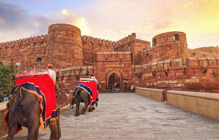 Royal India Discovery – 6 Days of Heritage, Culture & Colors