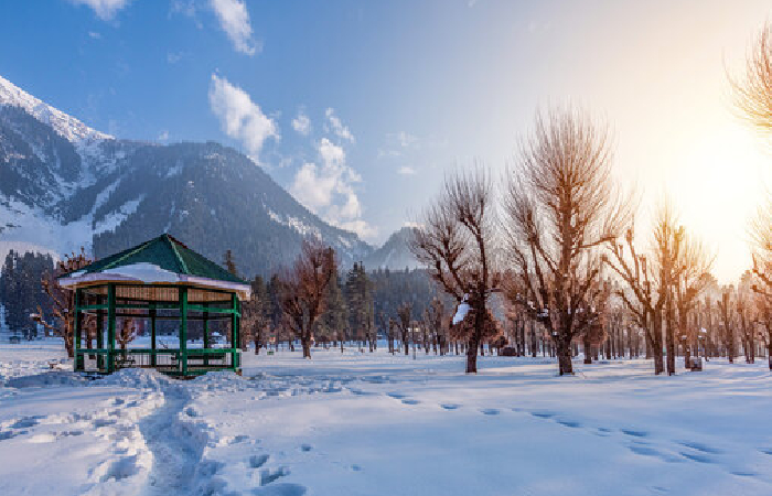 Delhi to Kashmir 7 Days Scenic Tour