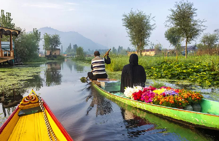 Paradise of Kashmir Tour | 9 Days