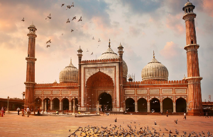 The Royal Thar Journey – 10 Days