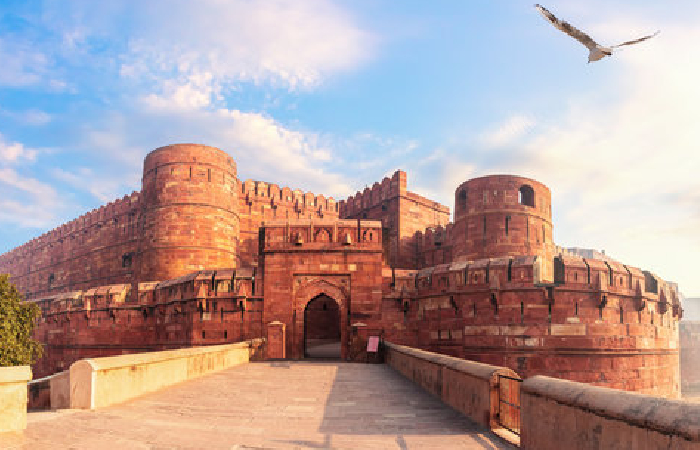 Delhi Agra Package (1 Day)