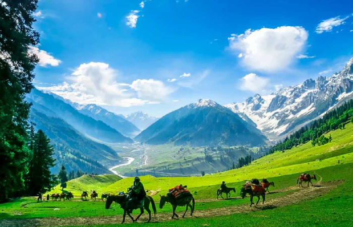 Paradise of Kashmir Tour | 9 Days