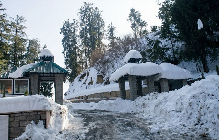 Himachal Highlights Journey – Shimla & Manali – 6 Days