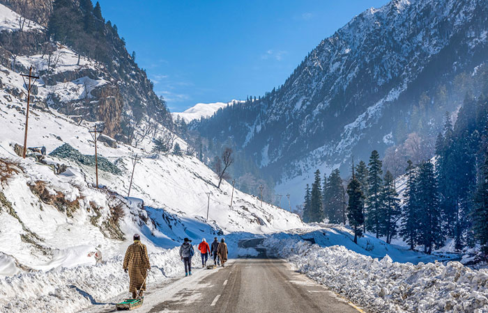 Delhi to Manali Shimla