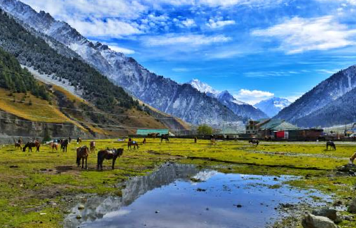 Delhi to Kashmir 7 Days Scenic Tour