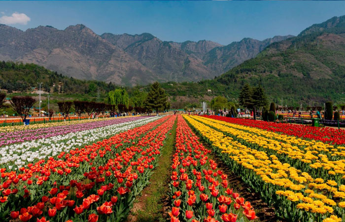 Delhi to Srinagar Kashmir