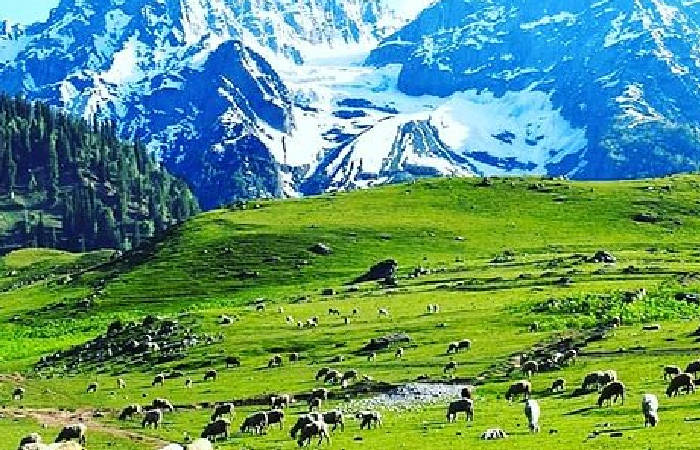 Paradise of Kashmir Tour | 9 Days